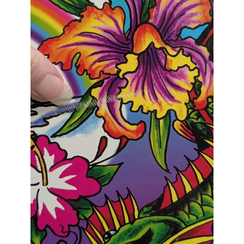 Ed Hardy‎ x Lisa Frank Hanging File Box Tropical Tattoo Art Koi Dragon Rainbow